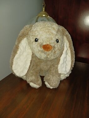 Spark Create Imagine Rattle Crinkle Floppy-Eared Bunny Plush - Brown and Cream
